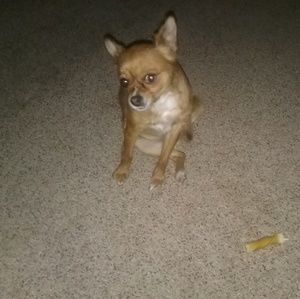 Meet your Posher, Genny